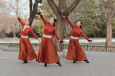 舞蹈鸿雁蒙古舞